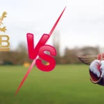 RCB vs LSG: A promotional graphic for an IPL 2026 match between Royal Challengers Bengaluru (RCB) and Lucknow Super Giants (LSG), featuring the gold RCB lion logo on the left and a winged elephant LSG logo on the right, separated by a large red "Vs" over a blurred green field.