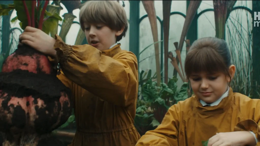 Neville Longbottom pulling an enormous Mangelwurzel root out of a soil pot while Lavender Brown looks on surprised.